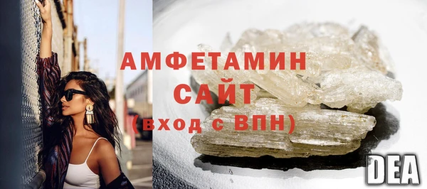 индика Богородицк