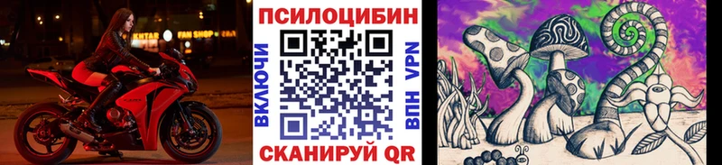 Галлюциногенные грибы мицелий  где продают   Хабаровск 