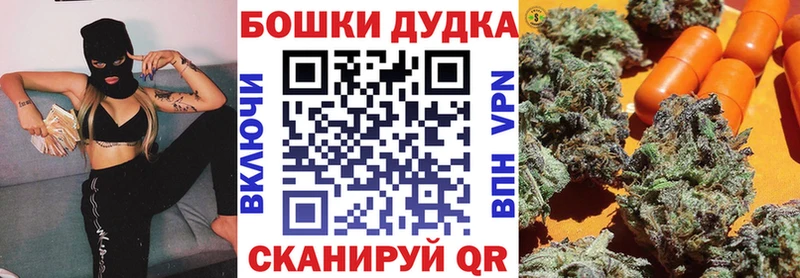 МАРИХУАНА SATIVA & INDICA  KRAKEN зеркало  Хабаровск 